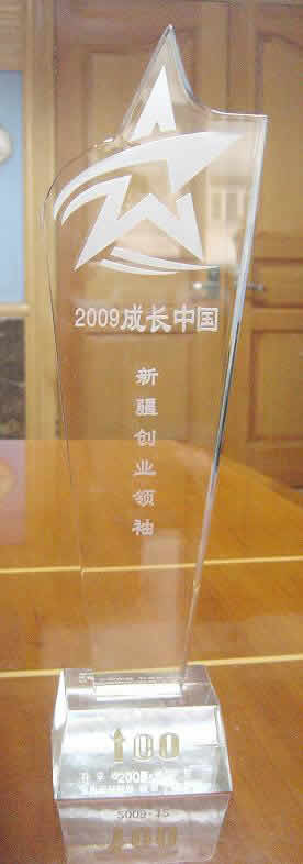 2009成長中國·新疆創(chuàng)業(yè)領(lǐng)袖獎