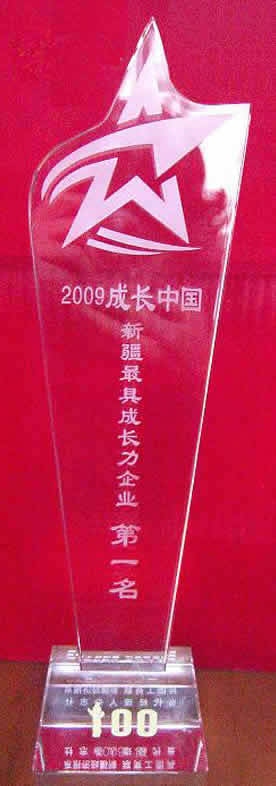 2009成長中國·新疆最具成長力企業(yè)獎